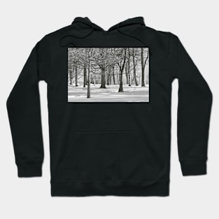 For The Love Of Trees - 5 - Monochrome © Hoodie